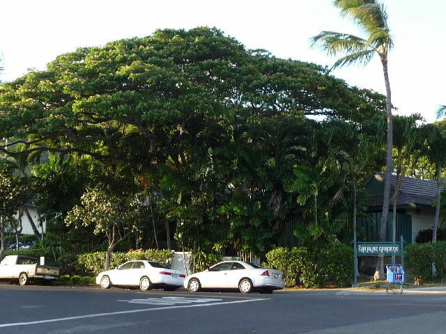 Primary Photo - 4952 Kilauea Ave