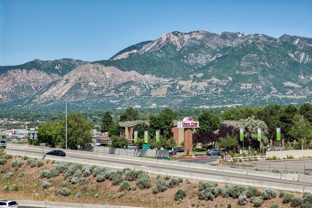 Primary Photo - Cherry Creek Apartments