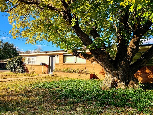 Building Photo - Charming Two Bed One Bath Near Texas Tech