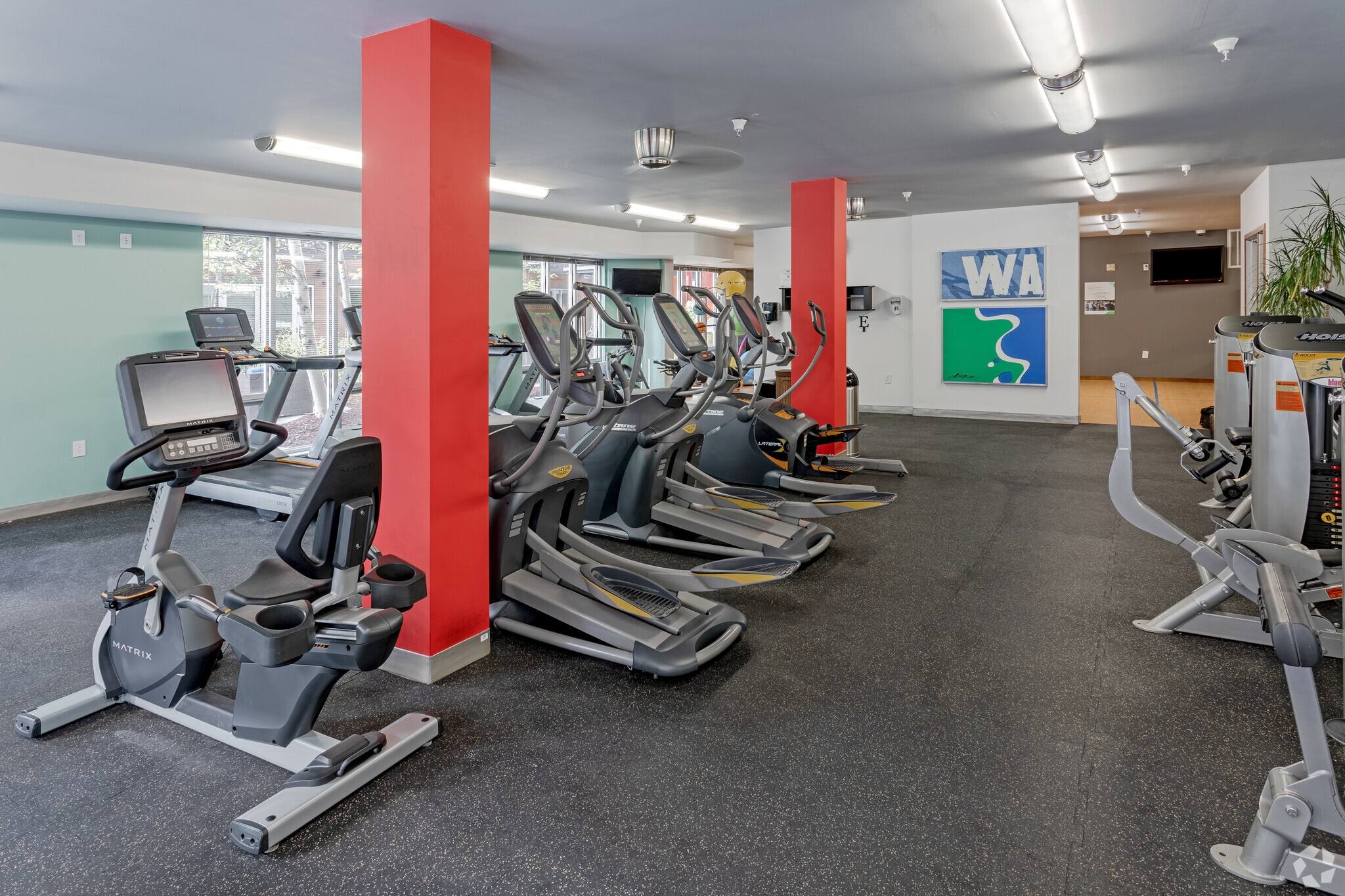 Treadmills, ellipticals, and a stationary bike in a modern fitness center.