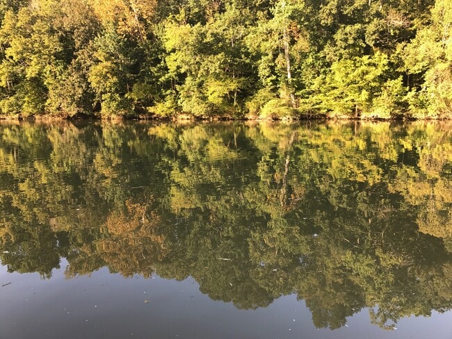 River behind Bldg - 212 Westwood Dr