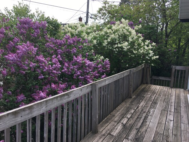 Terraza principal - 517 N 8th Ave E