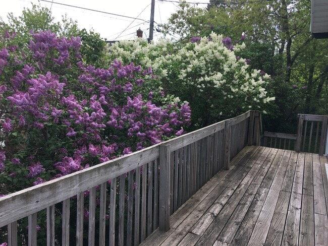 Front Deck - 517 N 8th Ave E