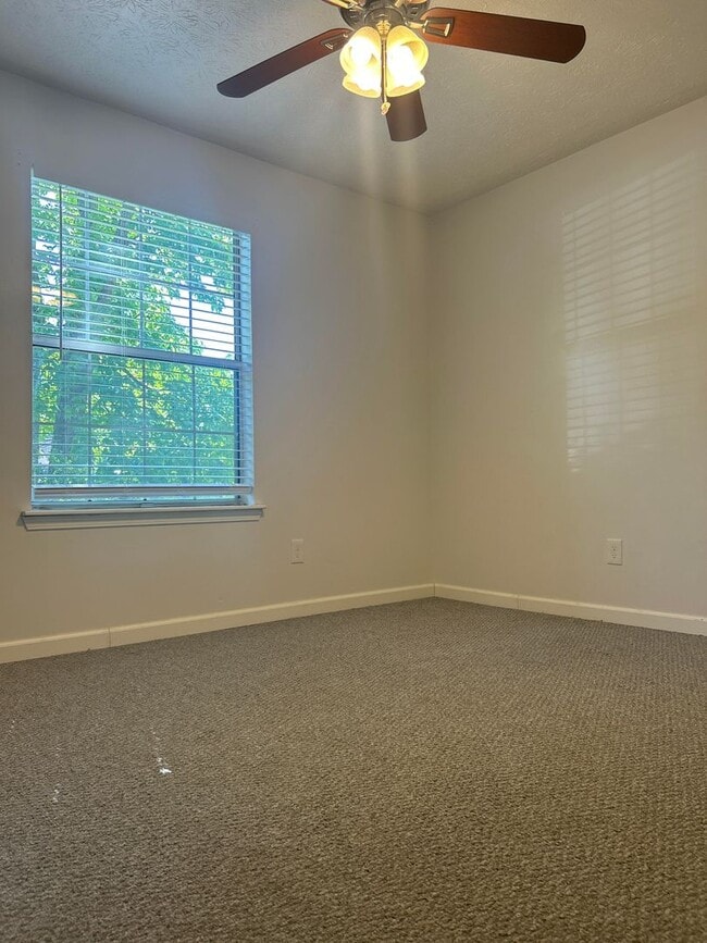 Building Photo - 3 Bed 2 Bath in Fulton!