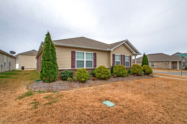 Building Photo - 3723 Blaze Dr