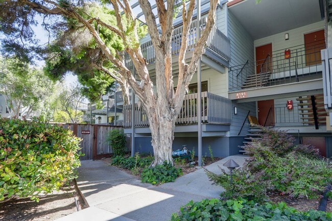 Building Photo - 1BR/1BA Pet-Friendly Top-Floor Condo with Bonus Room & Resort-Style Amenities | San Mateo | YouTu...