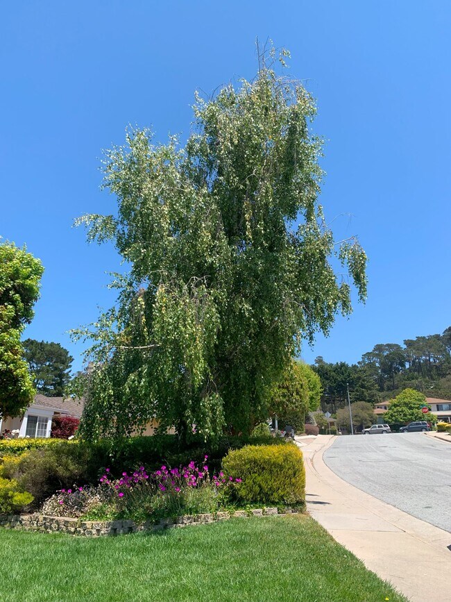 Building Photo - 10 Antler Pl