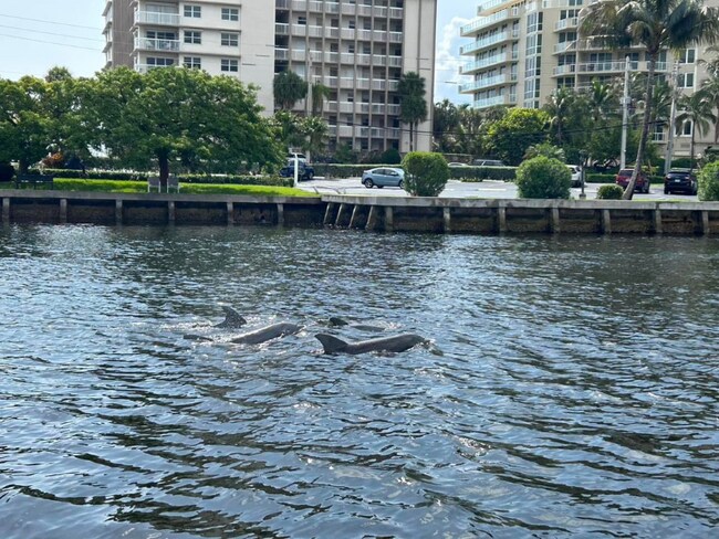 Foto del edificio - 2900 NE 14th St