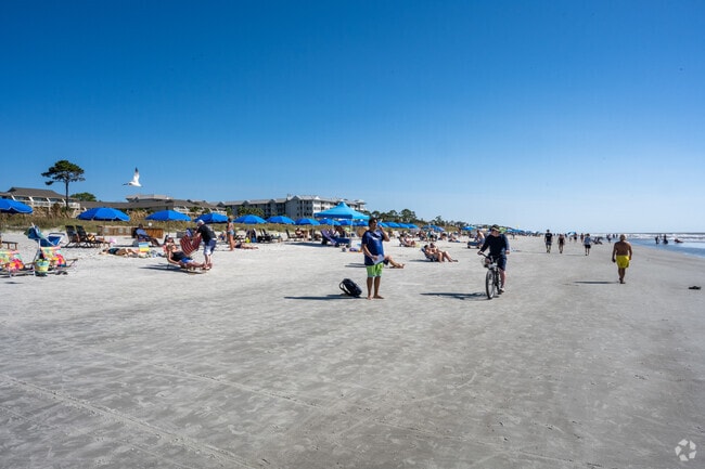 You can take a bike ride along the beach in North Forest Beach.