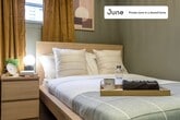 Primary Photo - Private bedroom in 4 bed/1 bath Home