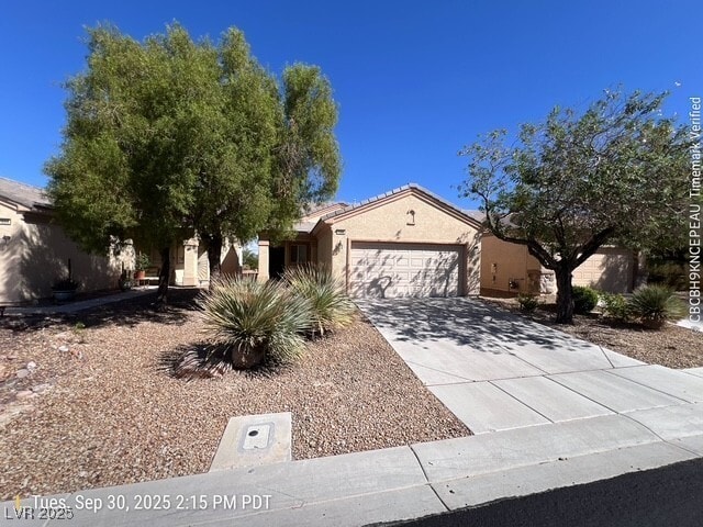 Foto principal - 7580 Lily Trotter St