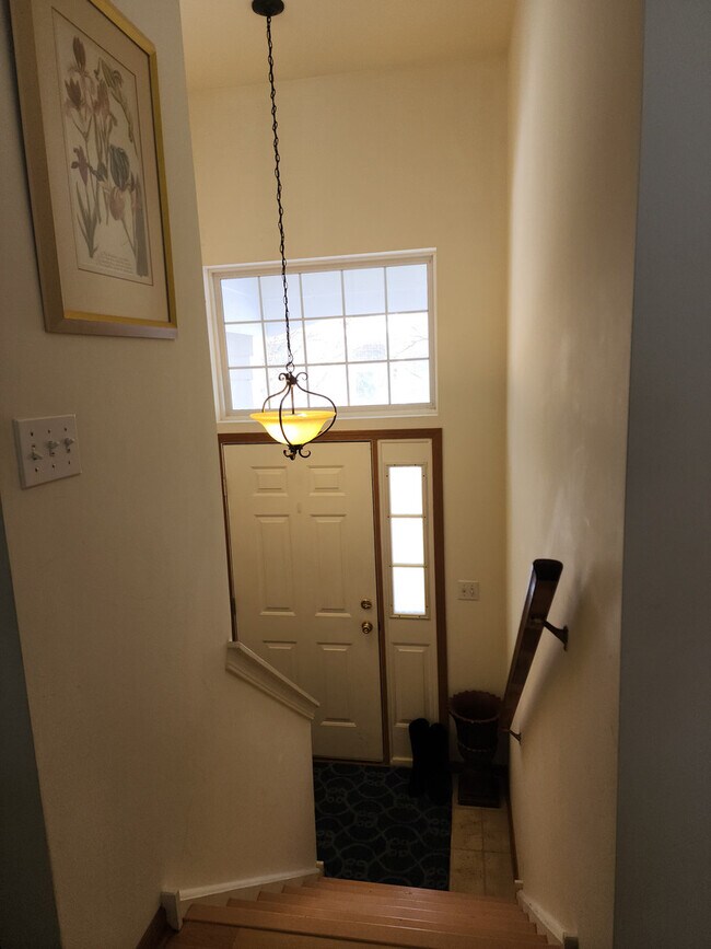 Foto del edificio - 1542 Sauganash Ct