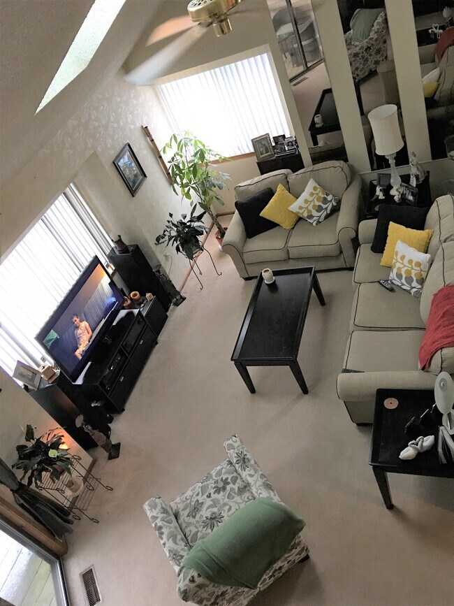 LOOKING DOWN ON LIVINGROOM FROM DINING ROOM - 1434 Burntwood Trl