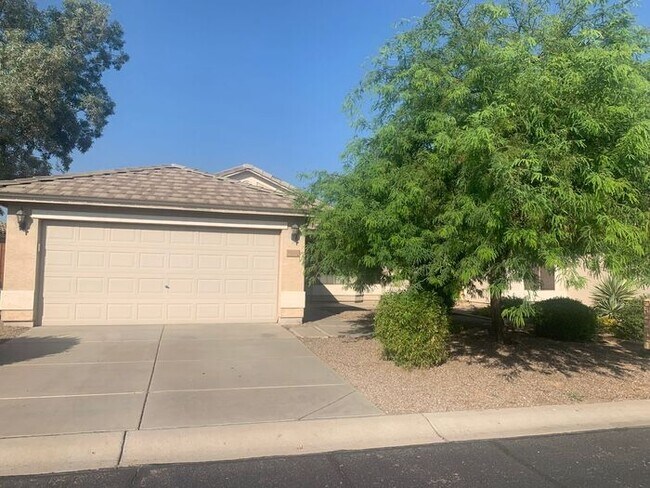 Foto del edificio - 30169 N Coral Bean Dr