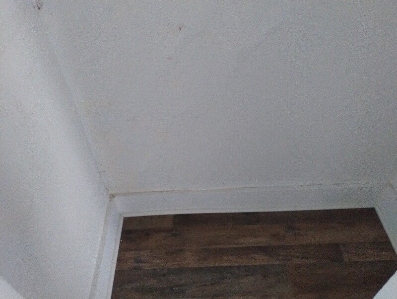 40 E Grove St, Edwardsville, PA 18704 House Rental in Edwardsville