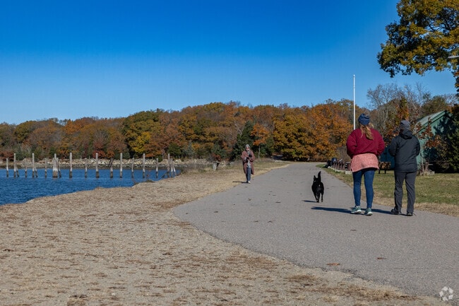 Bare Cove Park in Hingham is the perfect place to take your furry friend for a walk.
