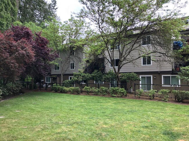 Back yard - 15819 Leary Way