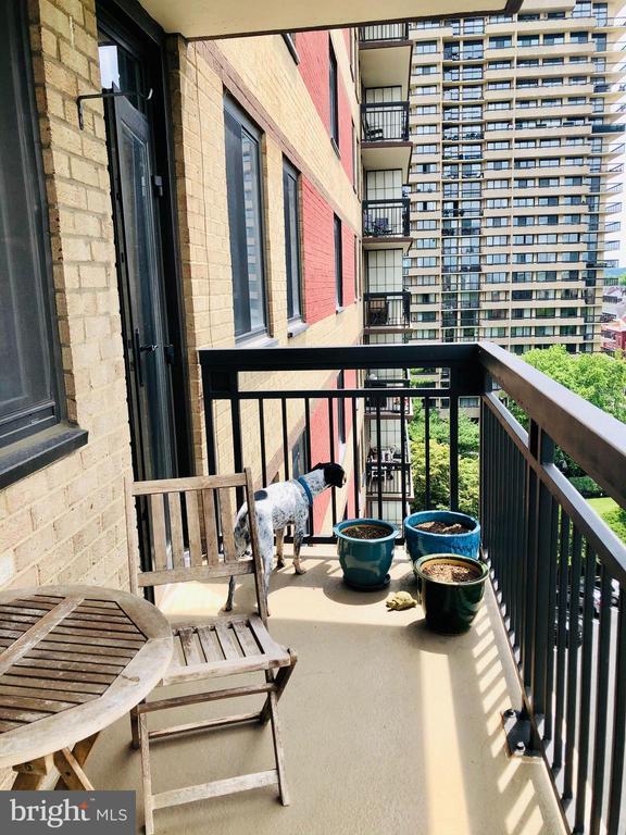 Foto principal - 801 N Pitt St