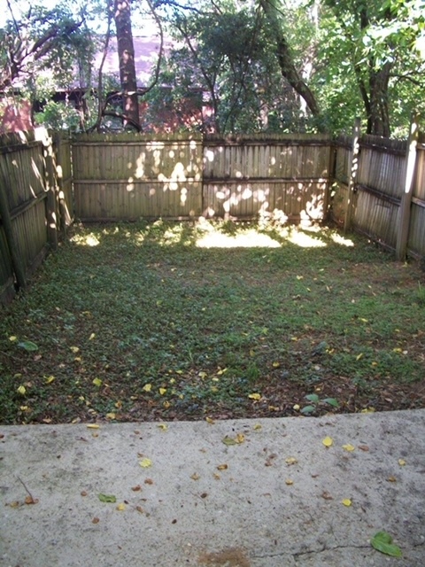 Fenced back yard - 1812 Lilac Ln