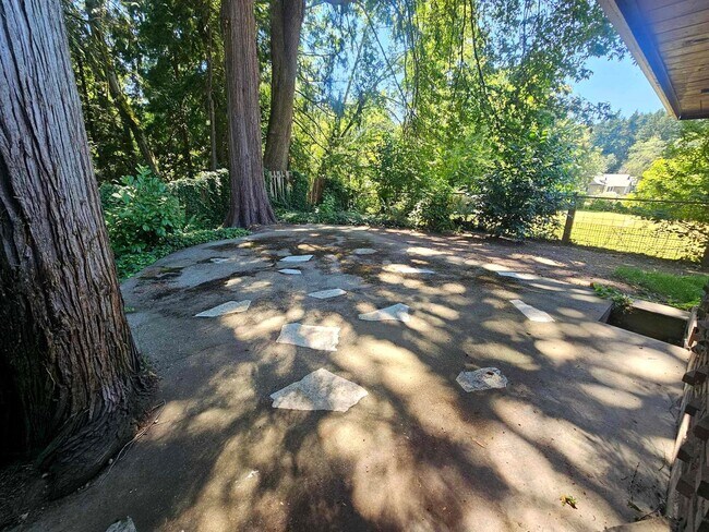 Foto del edificio - Bright and cozy 1 bedroom on Bainbridge