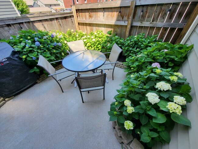 Patio con sistema de rociadores - 923 Blodgett St SE