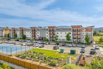 Building Photo - Mission Flats