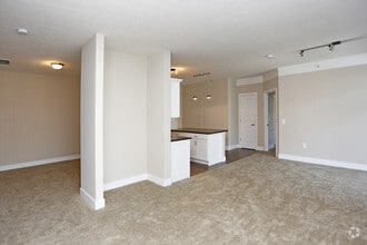 Brighton Chase photo'