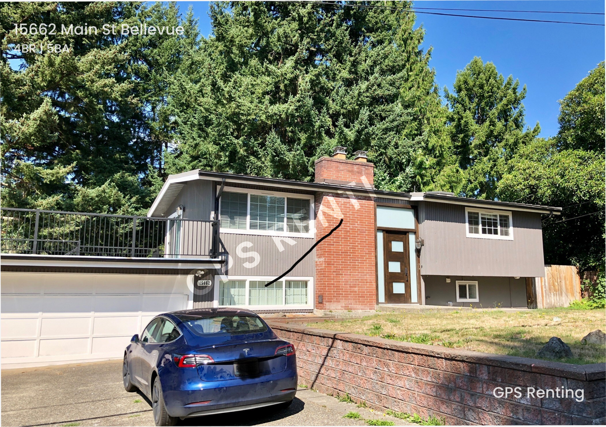 Primary Photo - Lake Hills home with contemporary flair!