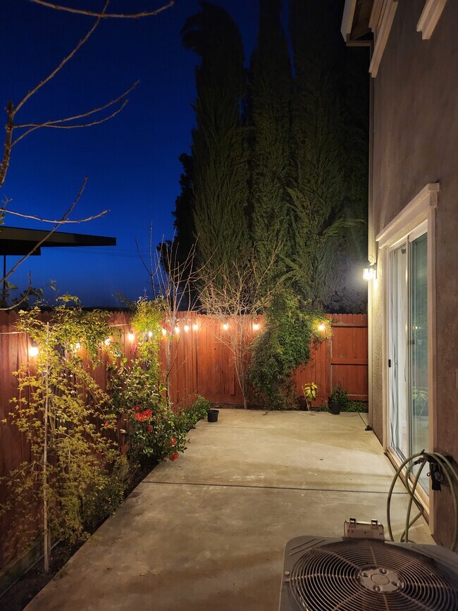 Backyard - 2516 Huckleberry Cir
