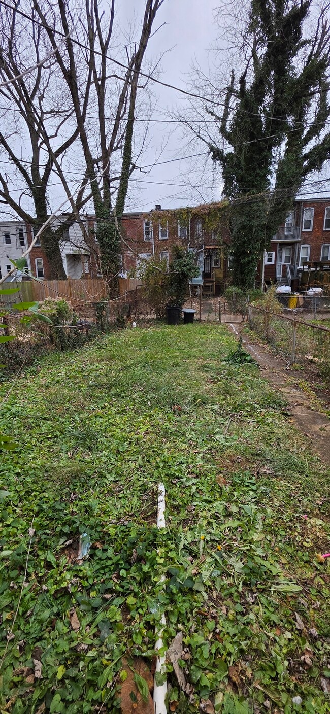 Building Photo - 5236 St Charles Ave