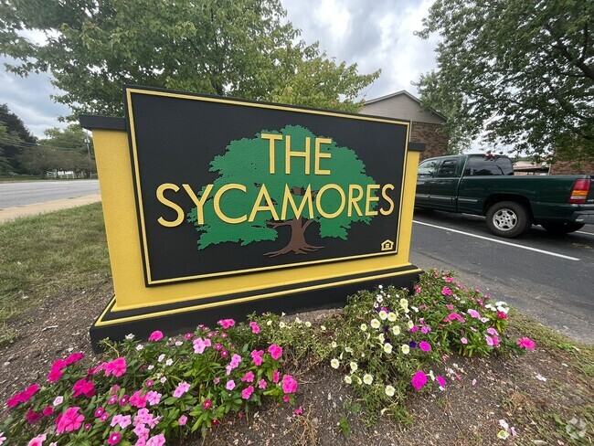 The Sycamores