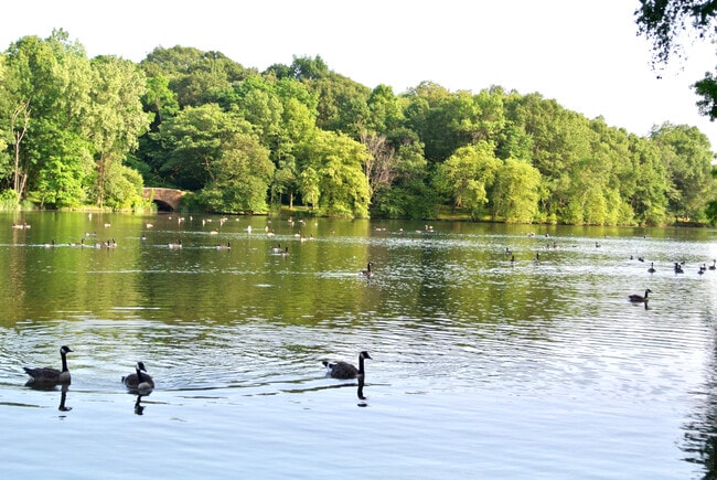 Foto del edificio - 77 Pond Ave