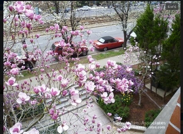 Building Photo - 1933 Commonwealth Ave