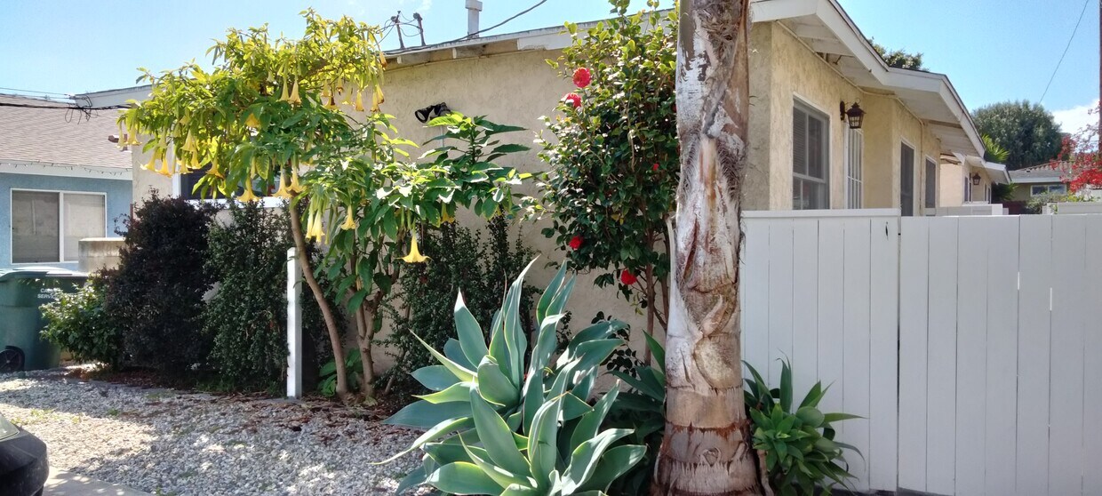 2026 259th Pl Unit A, Lomita, CA 90717 Apartments in Lomita, CA