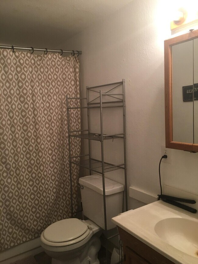 Upstairs Full Bath - 504 E Saint Vrain St