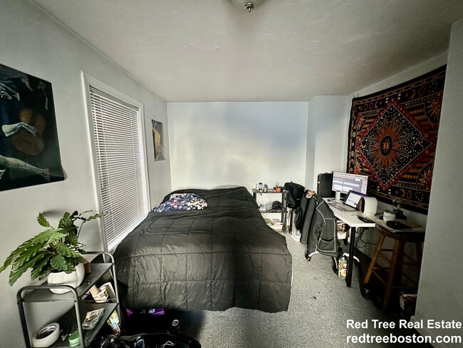 Foto del edificio - 24 Lawn St