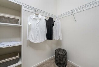 Interior Photo - SoLe Mia Rentals