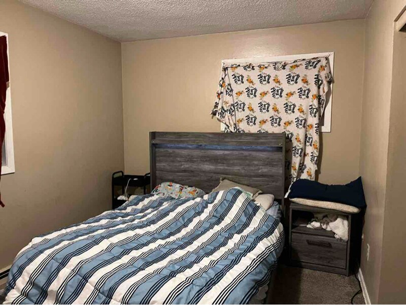 1327 3rd Ave SW Unit 3 Rochester MN 55902 Room For Rent In 1327-3rd-ave-sw-unit-3-rochester-mn-55902-room-for-rent-in
