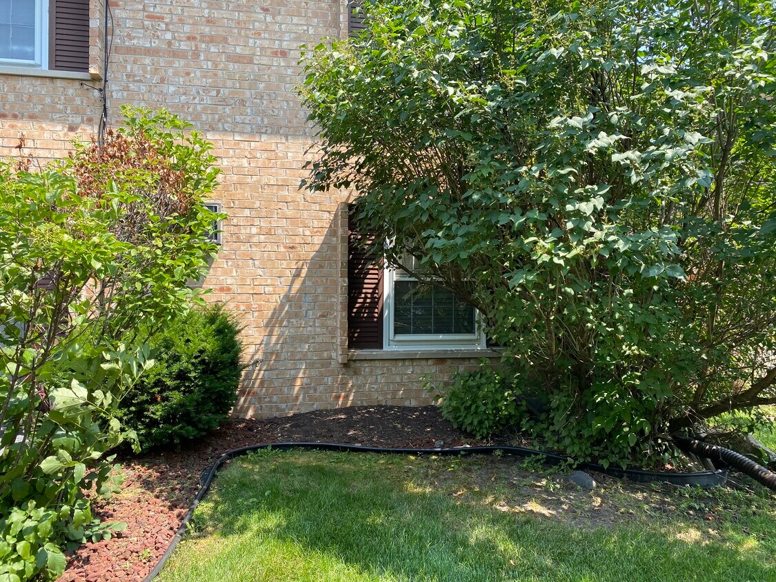 813 Smetana Rd Unit 1, Hopkins, MN 55343 Condo for Rent in Hopkins