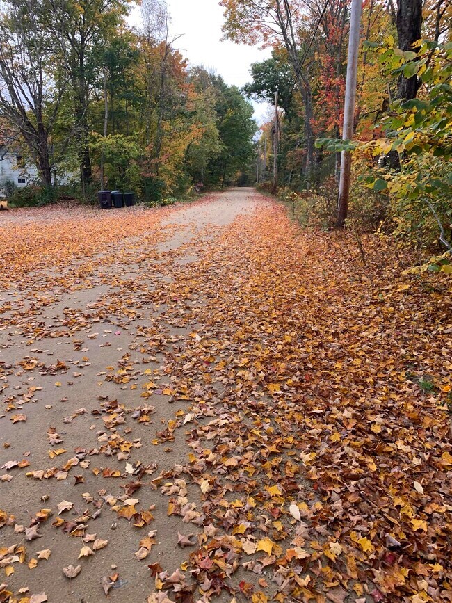 Foto del edificio - 293 Bear Hill Rd