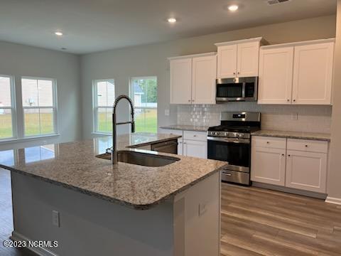 Building Photo - 1655 White Starfish Ct