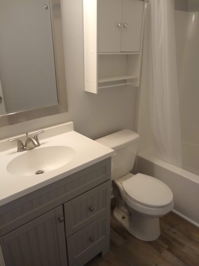 Hall Bathroom - 967 may Apple dr