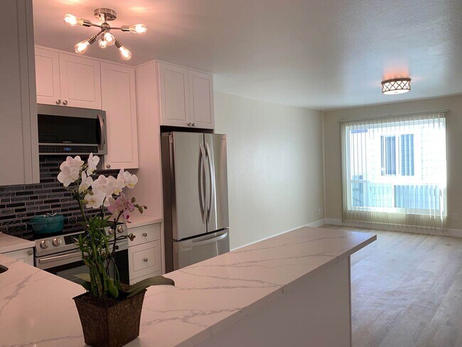 Open kitchen - 1945 Bush St