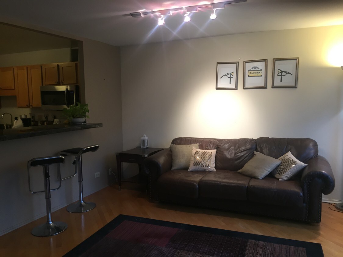 Sala de estar - 211 E Ohio St