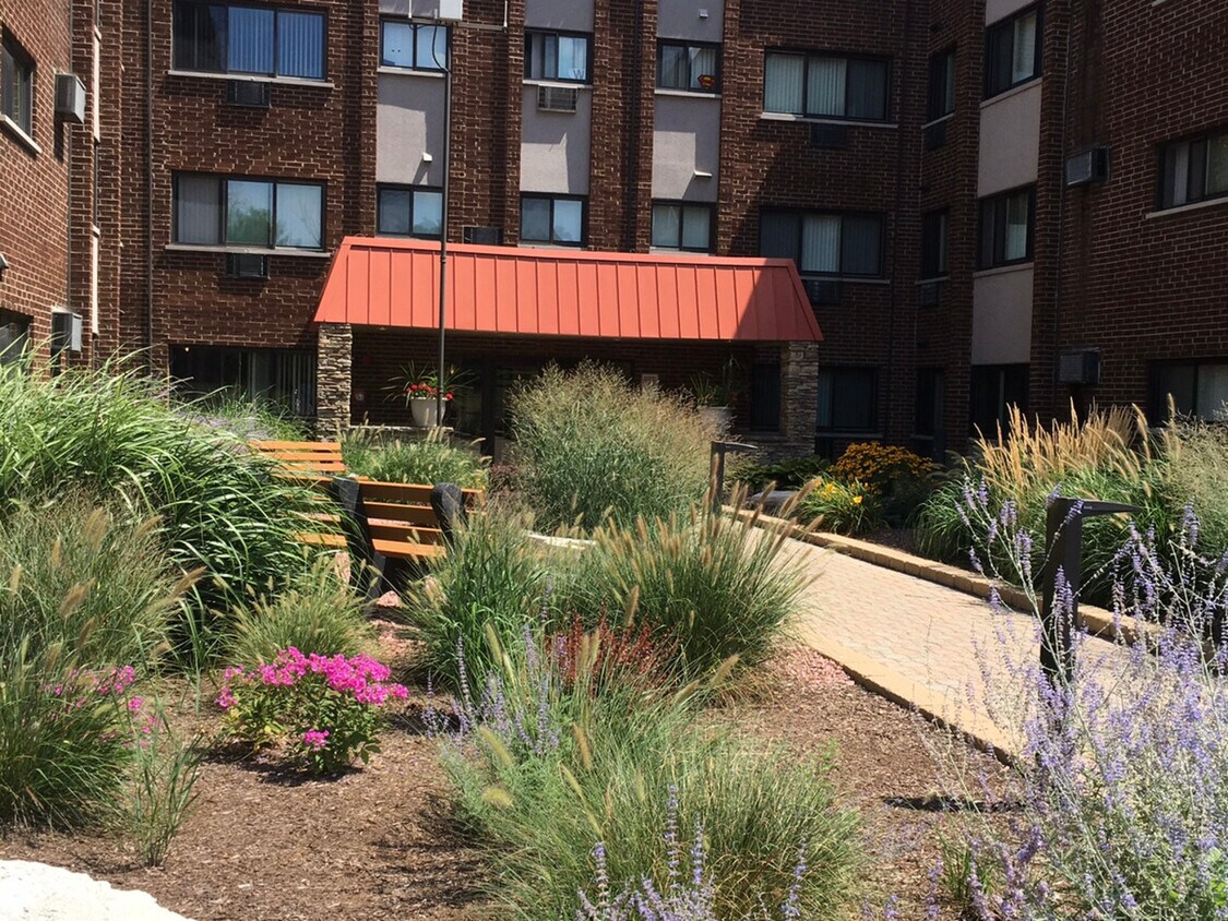 1919 S Wolf Rd Unit 423, Hillside, IL 60162 Condo for Rent in