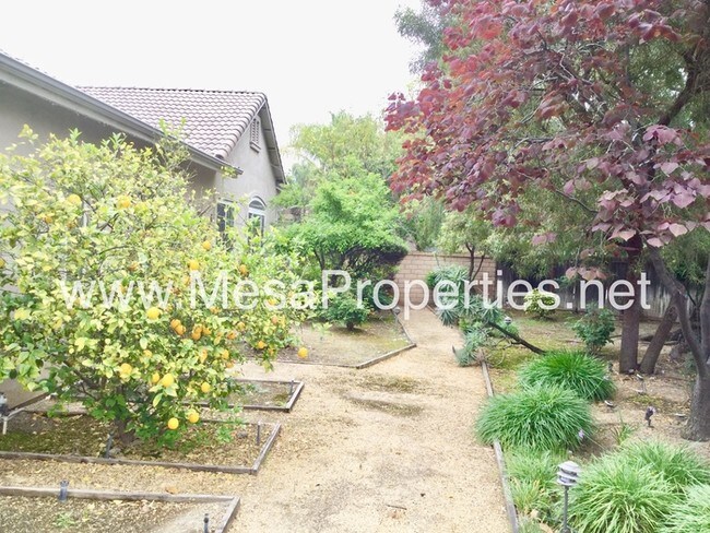 Building Photo - 7266 Aloe Ct