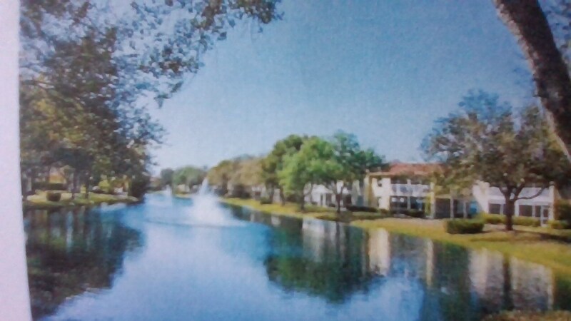 Primary Photo - 302 Diamond Cir