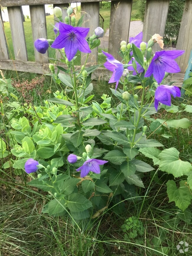 Apartments For Rent in Wisconsin Dells, WI 38 Rentals