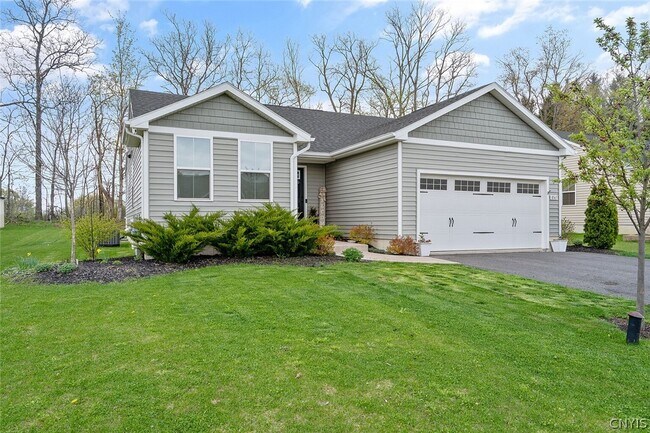 Building Photo - 8565 Cobalt Dr