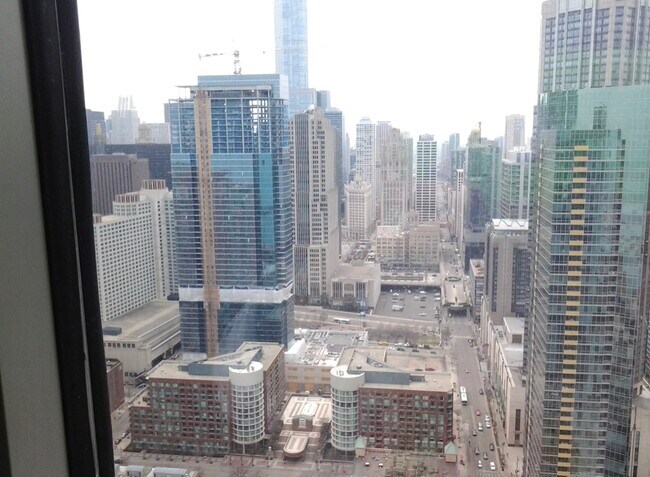 Building Photo - 474 N Lake Shore Dr